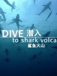 bbc:潜入鲨鱼火山