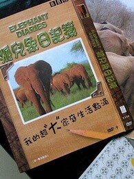 bbc:大象日记第一季