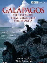 bbc:加拉帕戈斯群岛