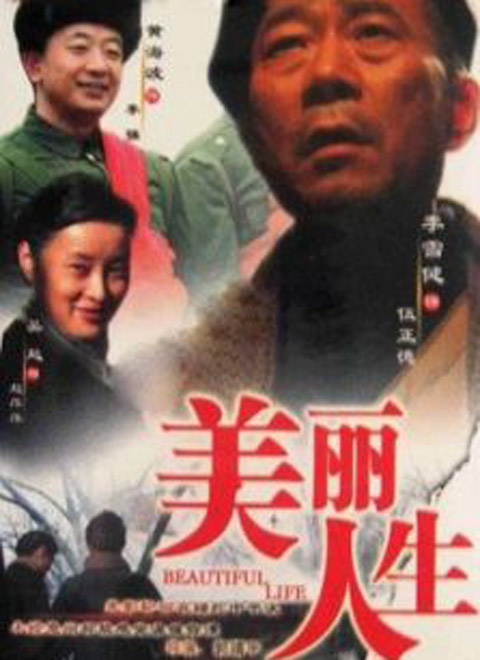 美丽人生(2008)