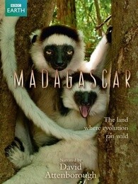 bbc:马达加斯加