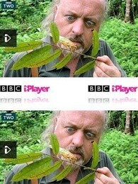 bbc:比尔·贝利的丛林英雄