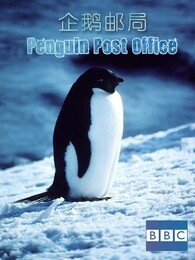 bbc:企鹅邮局