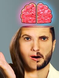 bbc:你的大脑是男是女?