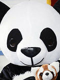 震惊了!小熊猫突然出现在北京西直门派出所!!微电影