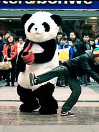 爱,在四川之熊猫篇